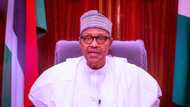 Insecurity: This is Buhari’s final decision on calls for his resignation - Lai Mohammed