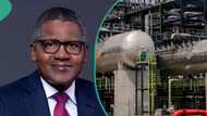 Lower petrol prices expected as Dangote Refinery boosts crude import, moves to attain full capacity