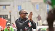 2023 presidency: "Why I've endorsed Peter Obi", PDP G5 governor