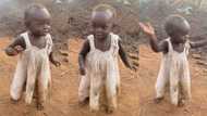 "I want to adopt her": Beautiful baby girl with cute black skin waves hands happily, video gets 950k likes