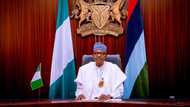 I will prosecute and jail them: 7 Key statements made by President Buhari in recent Interview