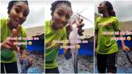 Pregnant fish: Nigerian farmer cries out, shares video of her fish that surprisingly got pregnant