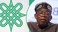 "Tinubu never came prepared": Arewa Consultative Forum fumes over fuel Hike, hardship