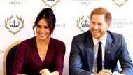 Prince Harry is allegedly living off $10m inheritance Princess Diana left him