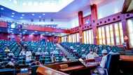 Finally, House of Reps approve bill to create state police across Nigeria
