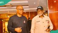Ex-Obi campaign chief resigns from Labour Party, reasons emerge