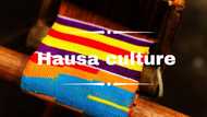 Hausa culture and traditions in Nigeria: Top facts to know