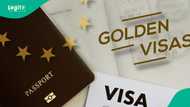 Full list: The 10 most expensive golden visas in the world