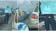 Frustrated Nigerian man puts up his kidney for sale, captured in traffic with cardboard, video stirs reactions