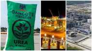 List, photos of landmark projects President Buhari commissioned in Lagos