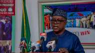 Breaking: Court restores Secondus as PDP national chairman