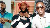 Burna Boy warns Dammy Krane for alleging that Davido is a murderer, peeps react: "A crafty message"