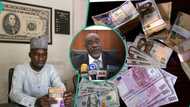 Naira value rises against dollar as CBN partners access, zenith, UBA other banks to clear debts in 2 weeks