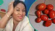 Nigerian lady displays small tomatoes she bought for N1,500 in market, people react to photo