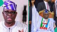 Fayose: Tsohon gwamnan PDP ya yi karatun ta natsu, ya fadi dalilin da zai sa Tinubu ya zarce