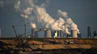 Dutch join Germany, Austria, in reverting to coal