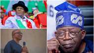 2023 presidency: New survey holds strange prediction for Tinubu, Obi, Atiku