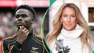 Arsenal star Bukayo Saka shares unexpected confession about Celine Dion igniting hot takes online