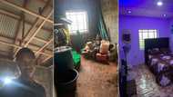 "First cash out": Nigerian boy transforms his 1 room house into small mansion, video stuns many