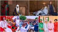 5 things that make President Buhari son's wedding to Emir of Bichi's daughter the talk of town