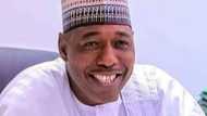 Gwamna Zulum Ya Bayyana Yadda Yake Farin Ciki da Yan Boko Haram/ISWAP Suke Tuba a Borno