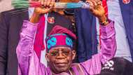 ‘Dan Takaran da Ake Zargi da Yi wa APC Aiki a 2023 Ya Fito Fili Yana Goyon Bayan Tinubu