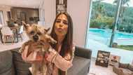 Kim Glow biographie: âge, origine, partenaire, vie avant et après sa chirurgie