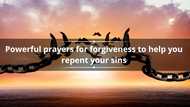 21 powerful prayers for forgiveness to help you repent your sins