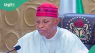 Kano Governor Yusuf wins as court clears way for LG election, gives fresh order