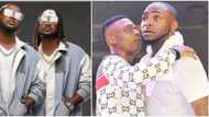 Music fans more excited about PSquare's reconciliation than Wizkid and Davido