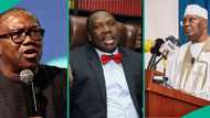 "Internally displaced politicians": Bwala blasts Atiku, Obi, others over 2027 plot against Tinubu