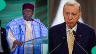 'Yan ta'addan FETO sun shigo Najeriya,' Turkiyya ta gargadi Tinubu