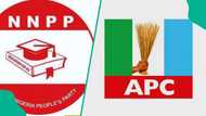 NNPP wins by-election in Kano, exposes APC’s weakness as party members call for unity