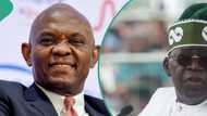 Tony Elumelu speaks on Tinubu's reforms amid N1.8 trillion savings from subsidy