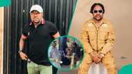 Fans concerned over clips from Segun Ogungbe’s birthday: "The eagle no dey sleep oo"