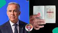 Canada lists 3 jobs work permit holders are strictly banned from doing, cites immigration laws