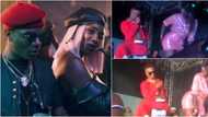Wizkid makes cross sign after Tiwa Savage told him to touch her yansh, Nigerians react