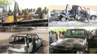 20 terrorists killed as Nigerian military repel another Boko Haram attack in Borno