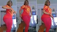 "I want to date you": Curvy woman in red trousers rolls her waist with swag, cute video attracts many