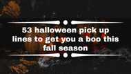 53 halloween pick up lines to get you a boo this fall season