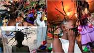 How these hairdressers invented new hair style that looks like Covid-19 to create awareness (photos)