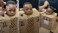 "Pikin no gree stay one place": Father puts little son inside a box to barb his hair, video stirs reactions