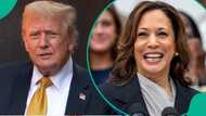 US elections 2024: What Kamala Harris win means for Africa