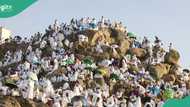 2025 Hajj: Pilgrims pray at Mount Arafat amid extreme heat