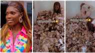 "Having rich friends is good." Lady fills her room with naira notes sprayed during birthday celebration