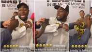 Davido screams in fear, nearly ‘picks race’ after animal is placed on his shoulder for photo