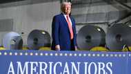 Trade war cuts global economic growth outlook: OECD