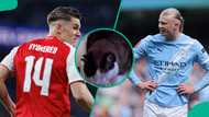 Man City vs Arsenal: Mysterious cat predicts decisive Premier League match