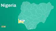 Just In: Week of tragedy in Ogun as truck crushes 5 to death