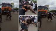 Powerful man pulls trailer using his body in viral video, people wonder how he did it